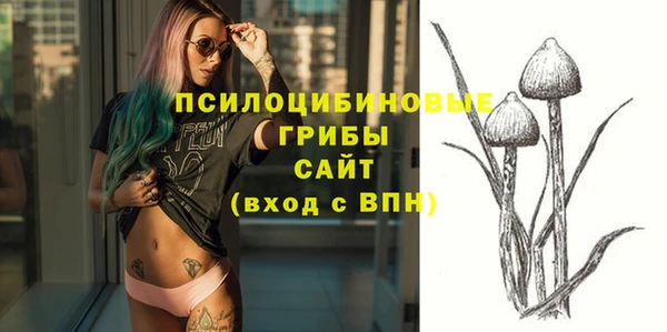 ALPHA-PVP Дмитров