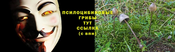 ALPHA-PVP Дмитров